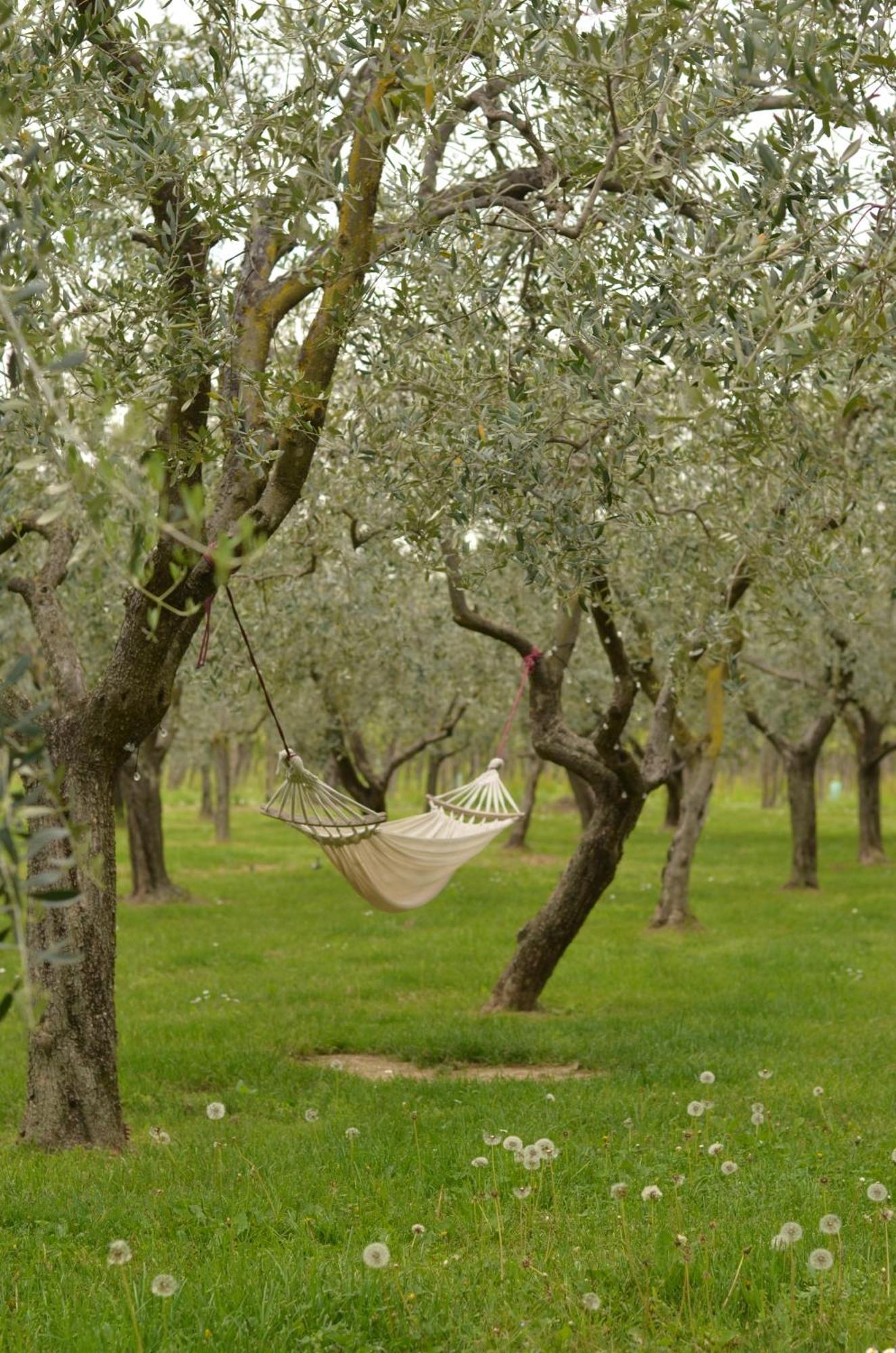 B&B La Cipressina Cavaion Veronese Dış mekan fotoğraf